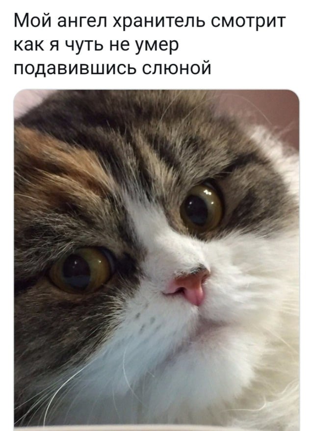 �� ��� ����� �� �����������. �� ��� �������. �����, ������� ������� �� ����� ����� � ������ ��� ...