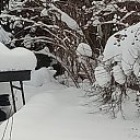 ���� �����, ������, 64 ���� - ��������� 10 ������ 2026 � ������ ������� ��������� ����