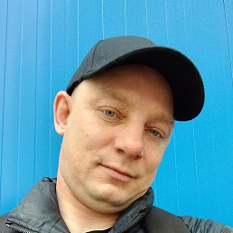 �����, 41 ���, ���������