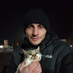 , 37, 