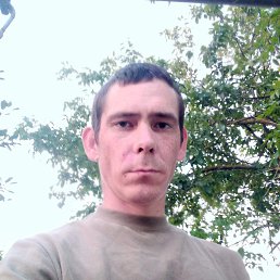 , 29, 