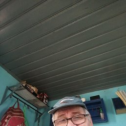 , 56, 