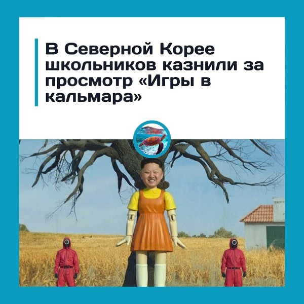 �� ��o�����o� �*����� �a ���p� � �a���apa�.mn�sty Int�rnational co cc���o� �a �e�e��e� coo��ae�: � ...