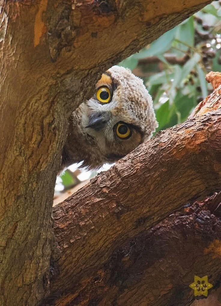 � ר ��� �� ����� �������, � ?