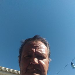, 63 , 