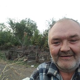 , 50, 