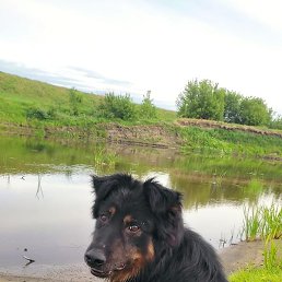 Rafa, ������, 53 ����