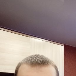 ���� ������, ������ ��������, 41 ��� - ��������� 4 ������ 2024