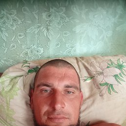 , 33, 