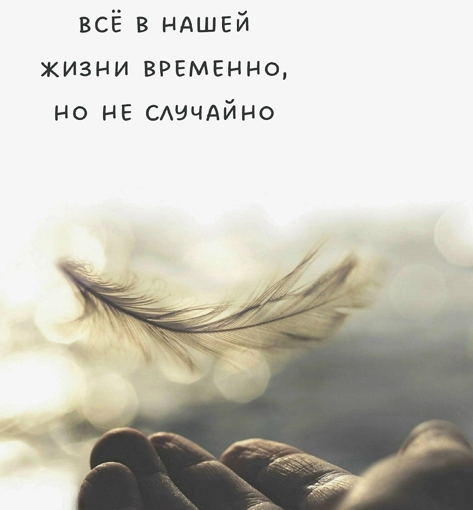 �������� ������ - 9 ���� 2026 � 14:43