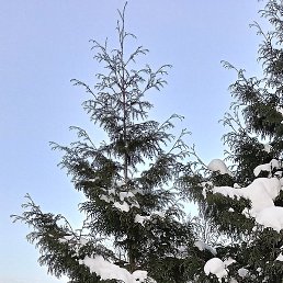 ������, ������, 48 ���