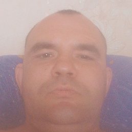 �������, ������, 37 ���