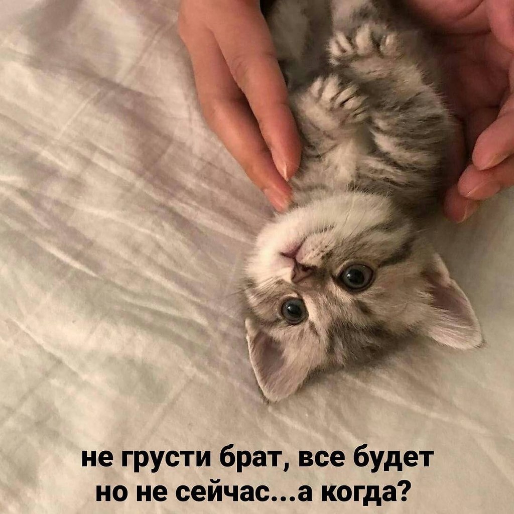    - 10  2024  08:19