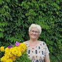 ���� ����, ������, 58 ��� - ��������� 10 ���� 2026 � ������ ���� ����������