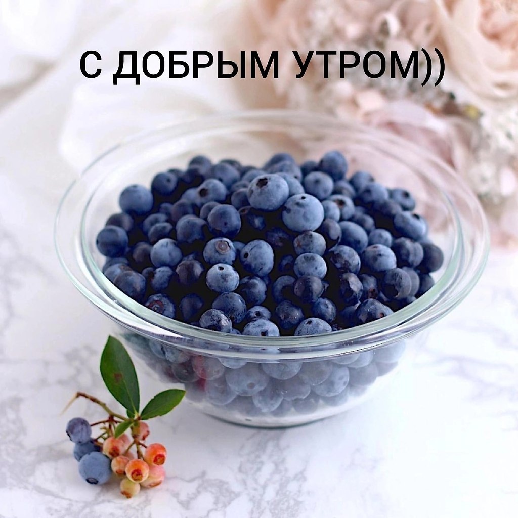   ,    . - 28  2025  20:31
