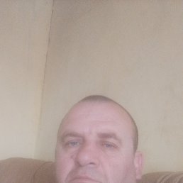 , 35, 