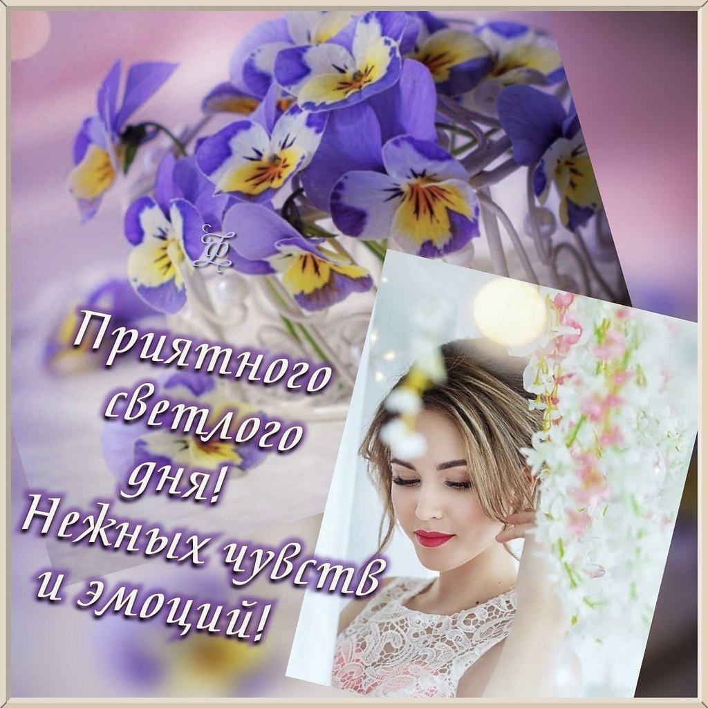   ,    . - 10  2025  13:51