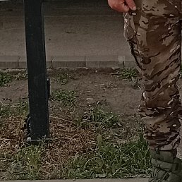 ������, �����-���������, 49 ���