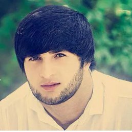 ������, �����-���������, 41 ���