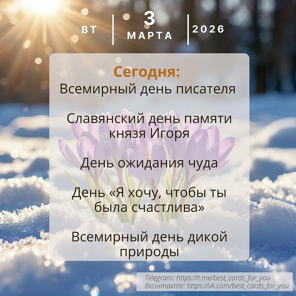 ����������� � ���������, �������� �� ������ ����. - 3 ����� 2026 � 01:04