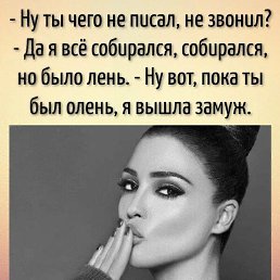 ���� ����, �����, 44 ���� - ��������� 24 ������ 2024