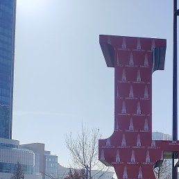 Zakir, �������, 32 ����