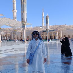 , 59,  