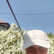 , 50 , 