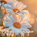 ���� �����, ���������, 49 ��� - ��������� 2 ���� 2025 � ������ ������ ��������