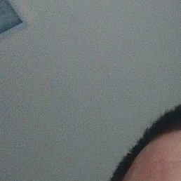 ��������, ��������, 41 ���