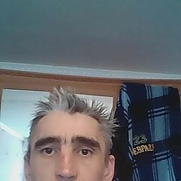 , 47, 