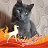 ���� ���������, ������, 44 ���� - ��������� 5 ���� 2026