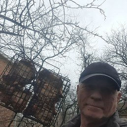 ���������, ���������, 73 ����