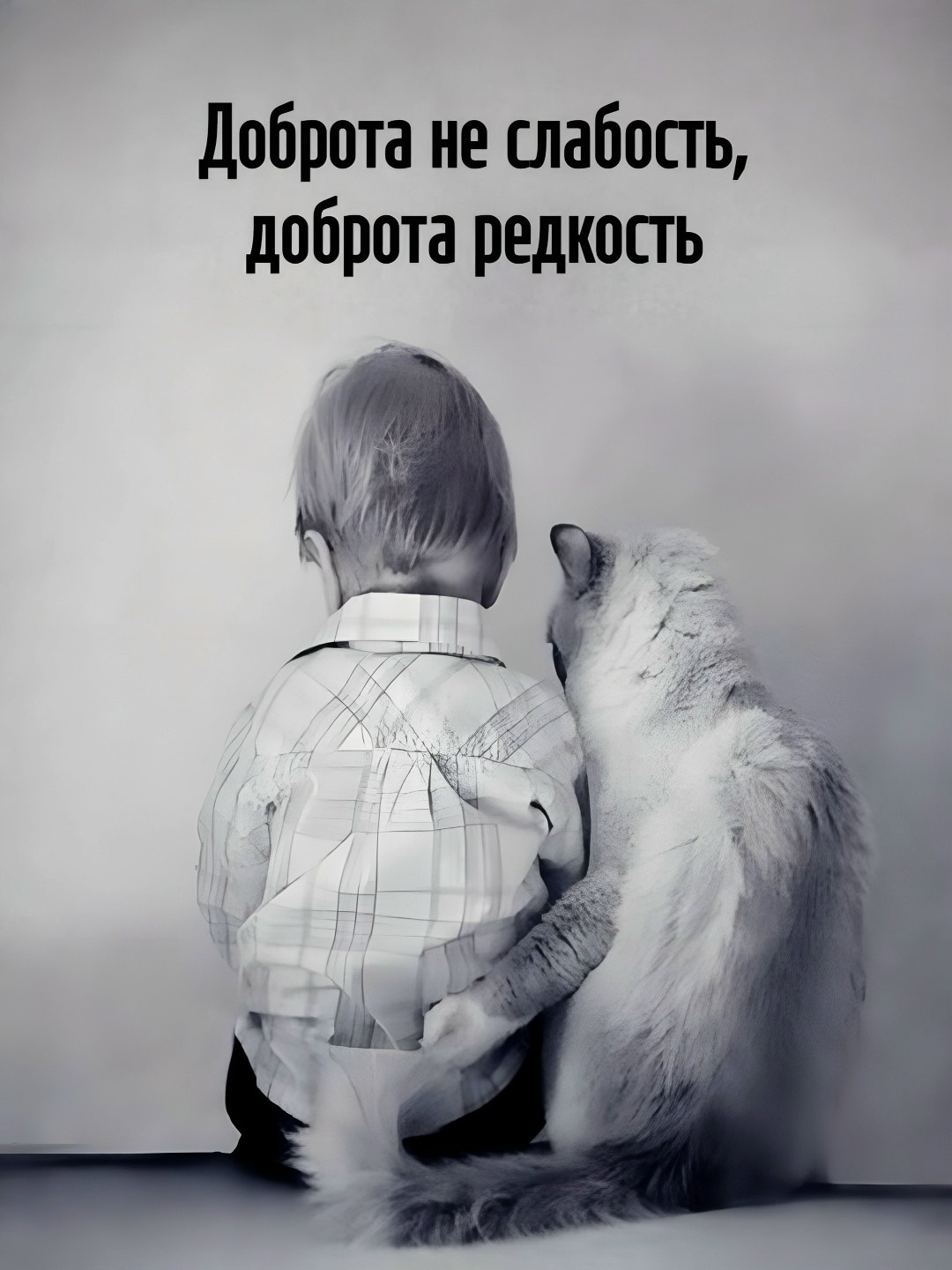  - 13  2025  17:28