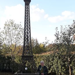 , 53, 