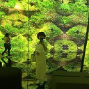 ���� �������, �����������, 52 ���� - ��������� 13 ������� 2026 � ������ ���� ����������