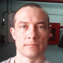 �������, �������, 54 ����