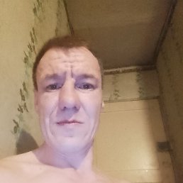 ���� �����, ����������� �������, 44 ���� - ��������� 12 ������ 2024