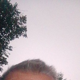 , 49, 