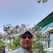 , 47 , 