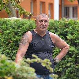 ������, 61 ���, �������