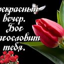���� ������, ������, 52 ���� - ��������� 27 ������� 2023 � ������ ���� ����������