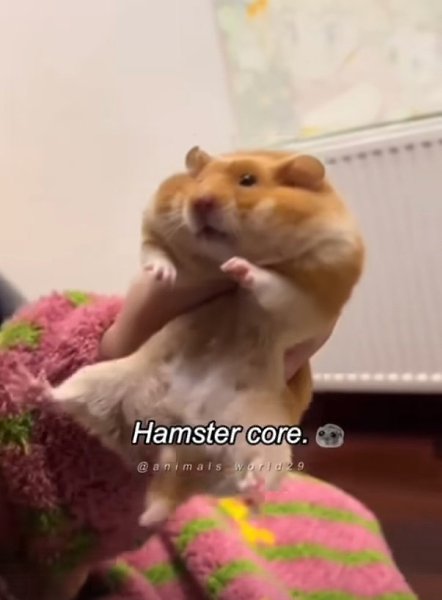   :   !