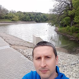 , 41, 