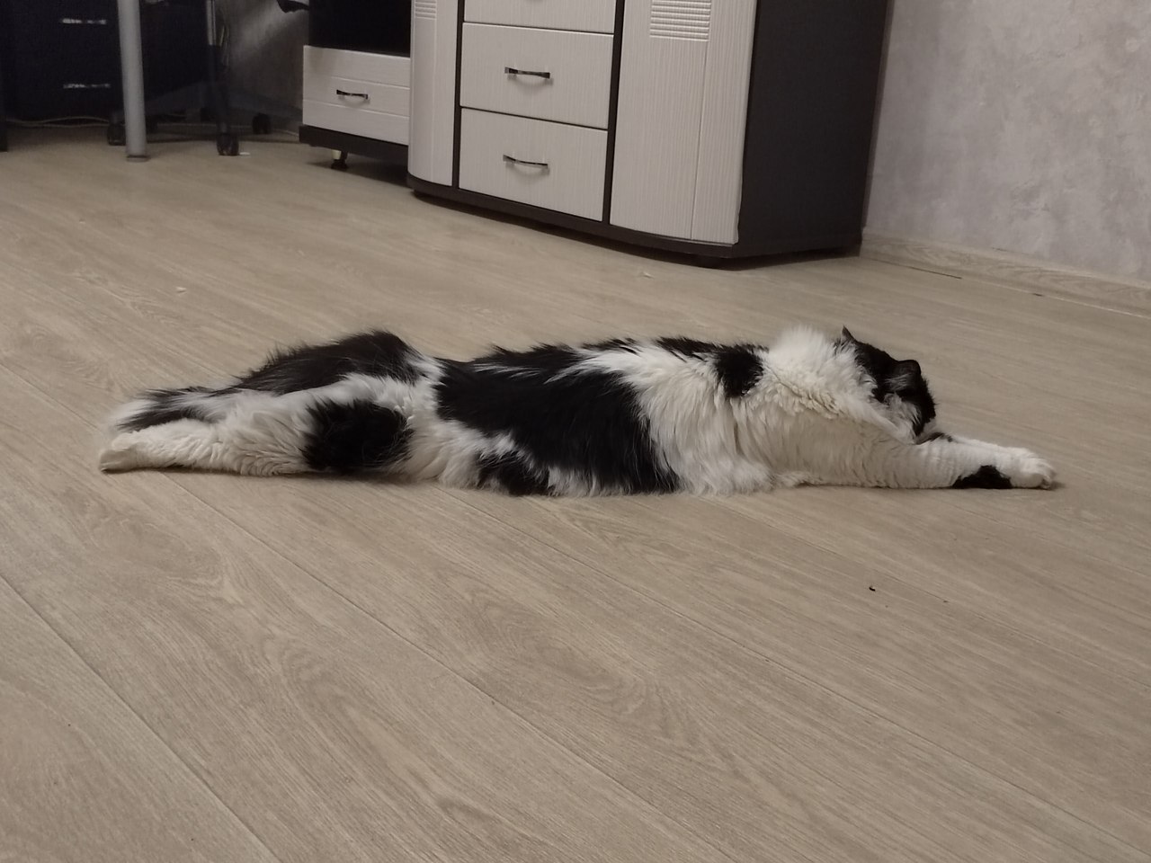   -    => - 3