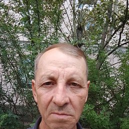 , 49 , 