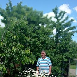 ���� �������, ������, 62 ���� - ��������� 1 ������ 2024