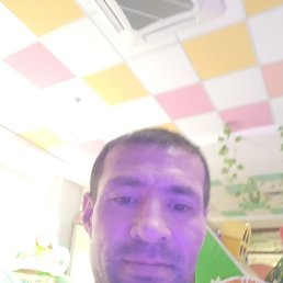 , 41, 