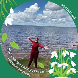 �������, ������, 62 ����