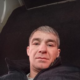 , 41, 